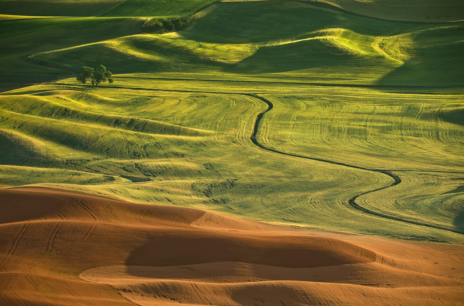 Aerial Seeding on the Palouse