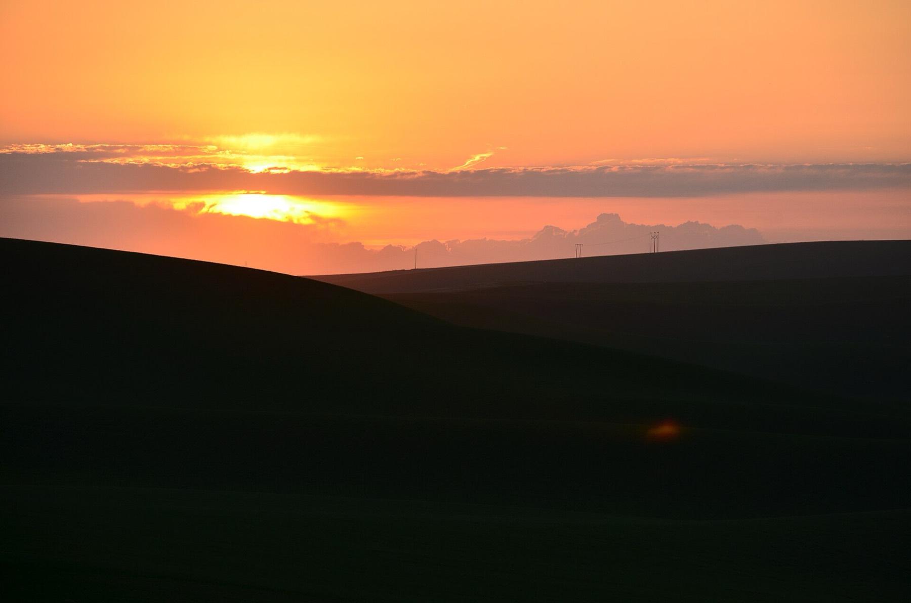 Palouse wheat fields at day's end